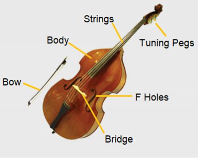 Double Bass – West Virginia Symphony Orchestra Kids